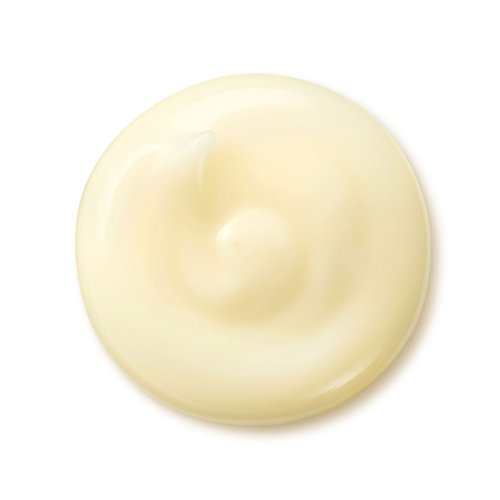 SHISEIDO Benefiance - Crème Lissante Anti Rides 0768614149538 SHISEIDO Benefiance - Crème Lissante Anti Rides 0768614149538
